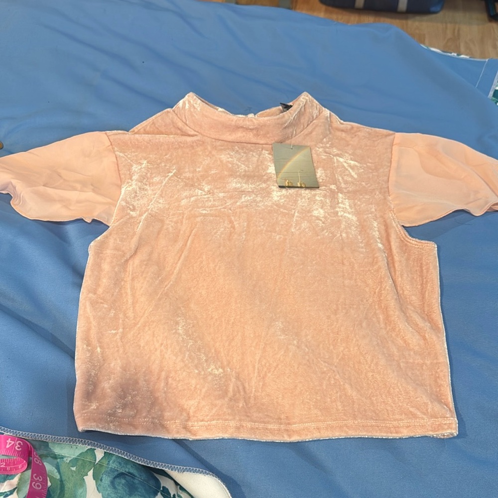 NWT ANTHROPOLOGIE Sz L Crushed Velvet Pink Champagne Crop Top Z48